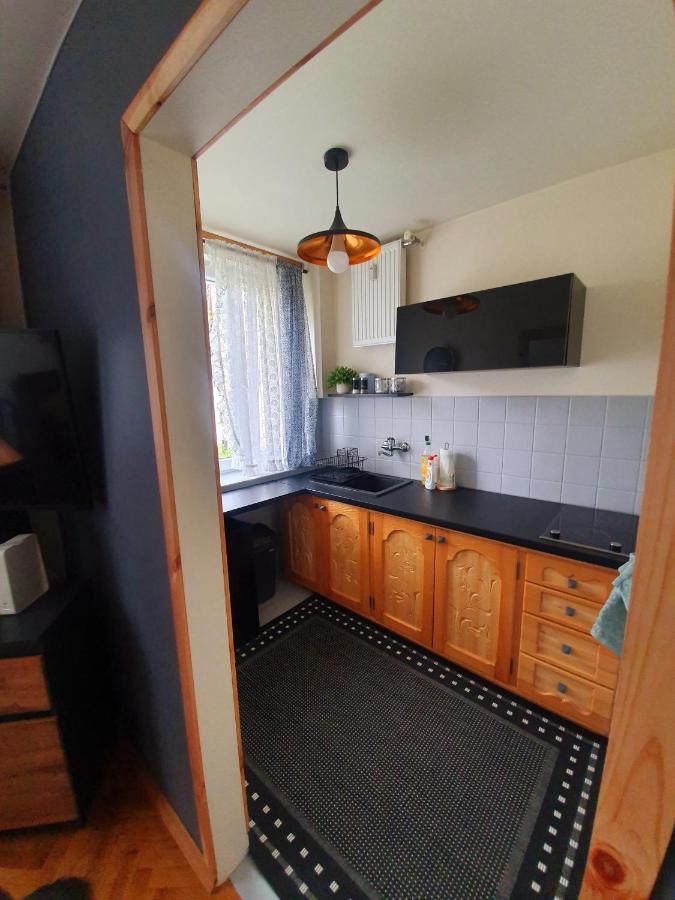 Apartament Izba W Centrum Закопане Экстерьер фото