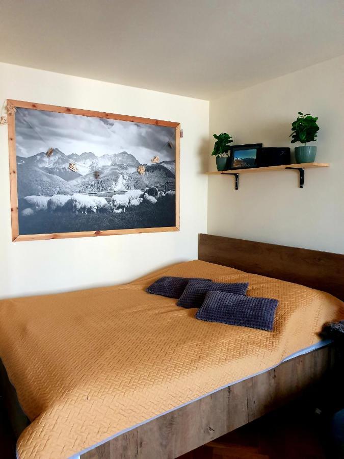 Apartament Izba W Centrum Закопане Экстерьер фото