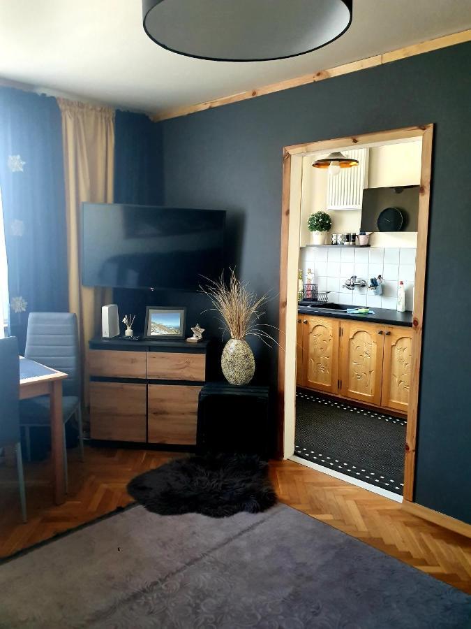 Apartament Izba W Centrum Закопане Экстерьер фото